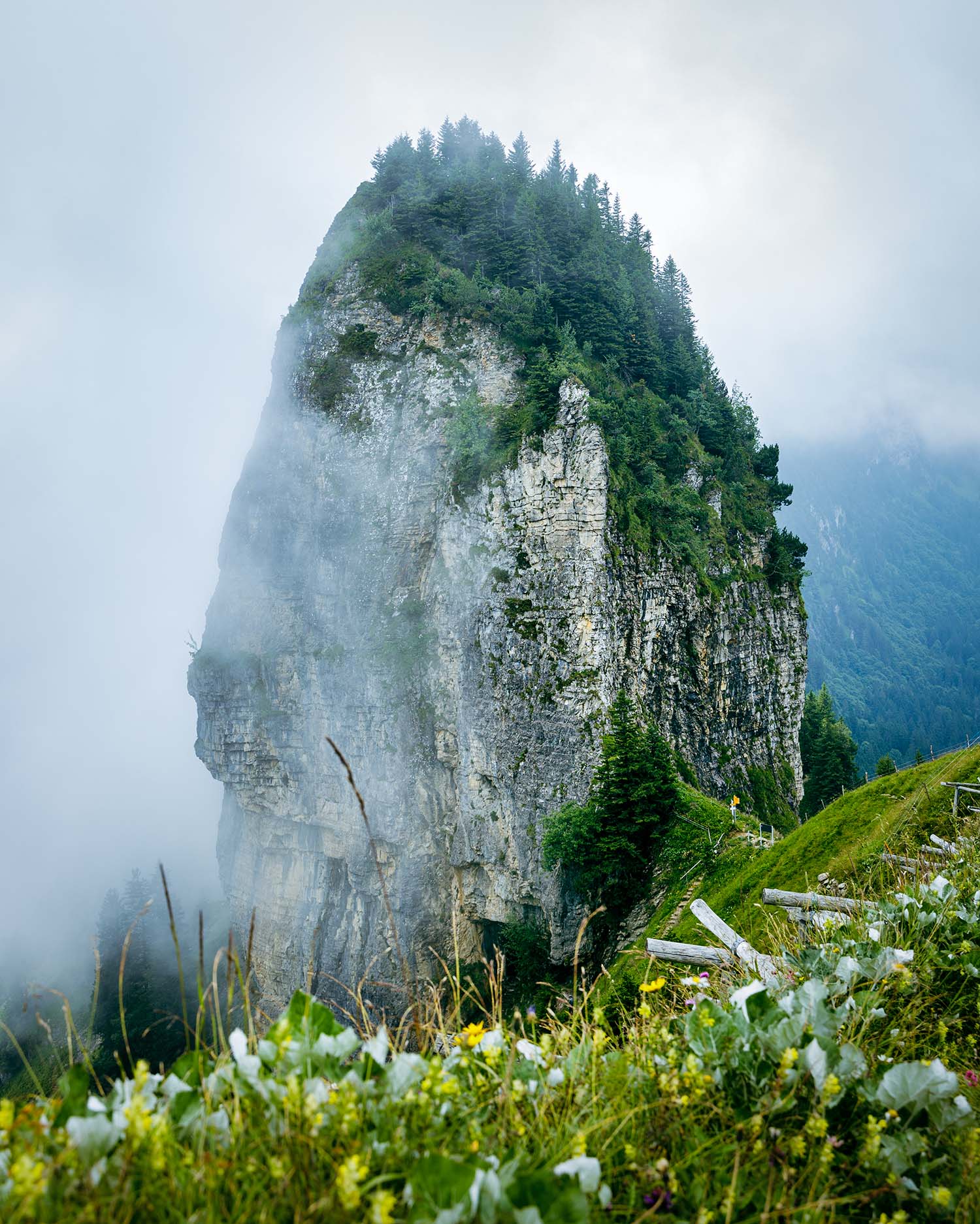 picture of swiss alps in alpstein